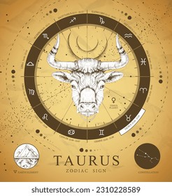 Vintage magic witchcraft card with astrology Taurus zodiac sign. Realistic hand drawing bull head. Zodiac characteristic