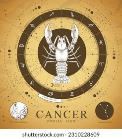 Vintage magic witchcraft card with astrology Cancer zodiac sign. Realistic hand drawing crab illustration. Zodiac characteristic