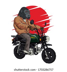 Vintage man with helmet bestride on mini vintage motorcycle. Vector illustrator design for biker lover. Japan vintage mini motorcycle.