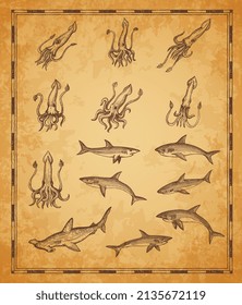 Vintage map elements. Squids, sharks and hammerhead shark, vector sketch. Sea map with retro ocean monsters, octopus kraken and fishes, nautical underwater on woodcut scroll