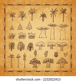 Plantas y árboles de mapas de época, palmas, baobab y cactus, sauce, roble, cañas y abeto en boceto vectorial. Isla del tesoro pirata y mapa de aventuras caribeñas con árboles tropicales en fondo de granizo