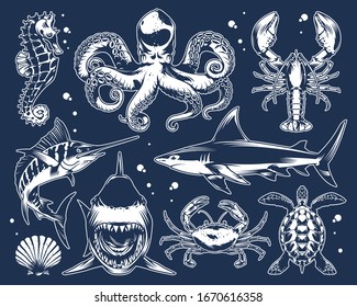 Vintage marine life composition with shark crab lobster marlin poulpe seashell turtle seahorse in monochrome style isolated vector illustration