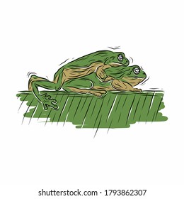 Vintage mate green frog line art drawing