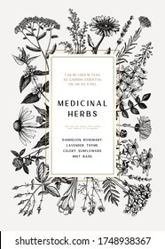 Vintage medicinal herbs card or invitation design. Hand drawn flower, weed and meadow illustrations. Summer plants template. Botanical background with floral elements in engraved style. Herbs outlines