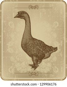 Vintage menu with the goose, hand drawing. Vector illustration.