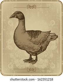 Vintage menu with goose, hand-drawing. Vector illustration.