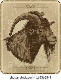 Vintage menu with horny goat, hand-drawing. Vector illustration.