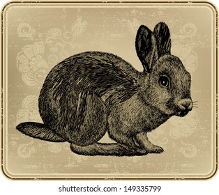 Vintage menu with rabbit, hand-drawing. Vector illustration.