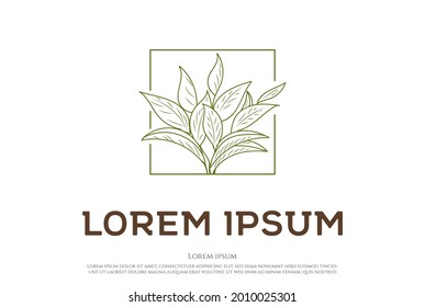 Vintage Minimalist Elegant Green Tea Leaf Leaves Logo Design Vector