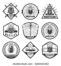 Vintage monochrome beetles premium labels set with inscriptions dragonfly and different types of bugs isolated vector illustration