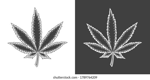 Vintage monochrome cannabis leaf illustration  Isolated vector template