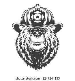 Vintage monochrome firefighting concept with serious bear head in fireman helmet isolated vector illustration