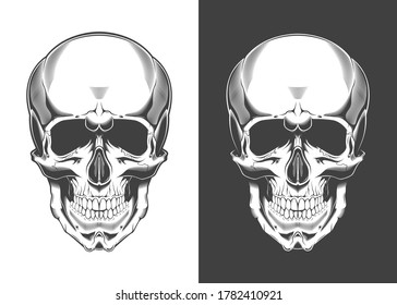 Vintage monochrome highly detailed skull illustration. Isolated vector template
