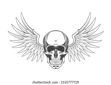 Vintage monochrome highly detailed skull with wings illustration. Isolated vector template