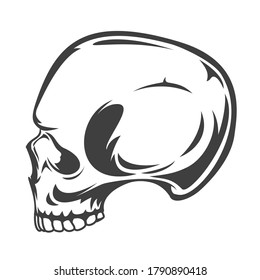 Vintage monochrome human skull isolated on white background. Hand drawn design element template for emblem, print, cover, poster. Vector illustration.