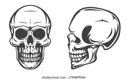 Vintage monochrome human skull isolated on white background. Hand drawn design element template for emblem, print, cover, poster. Vector illustration.