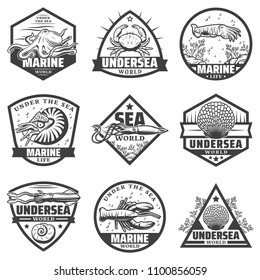 Vintage monochrome marine animals labels set with octopus shrimp cuttlefish lobster crab squid isolated vector illustration