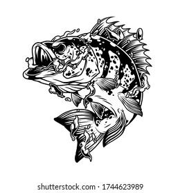 Vintage monochrome perch fish with water splashes and drops around it isolated vector illustration