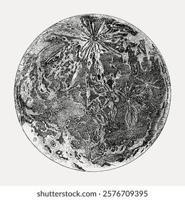 Vintage moon illustration with intricate details. The moon's surface is depicted with artistic textures, showcasing a classic, vintage style. Detailed moon art. Vintage illustration isolated, vector.