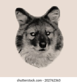 Vintage mosaic portrait of a red wolf. Menacing expression of the very beautiful animal and extremely dangerous beast. Mask, isolated on white background. Vector illustration.