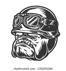 Vintage motorcycle concept with dangerous bulldog head in biker helmet and goggles isolated vector illustration