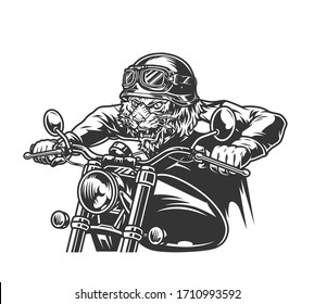 Vintage motorcycle concept with ferocious tiger head biker in moto helmet riding motorbike isolated vector illustration