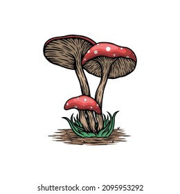 vintage mushroom with leaf vector illustration