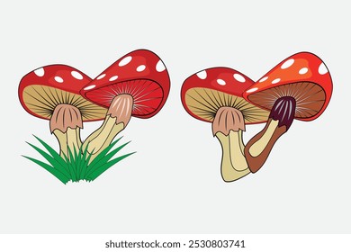 Vintage mushroom vector, Mushroom icon or logo illustration, Mushrooms in a forest clearing. A mushroom color vector image, Cartoon mushroom illustration  