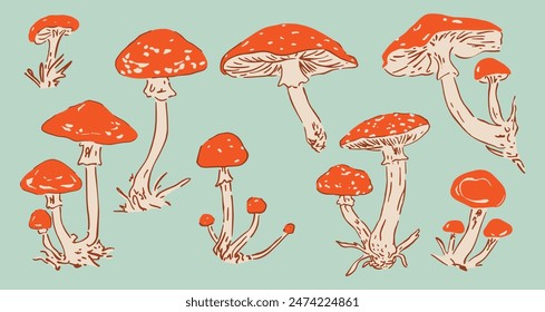 Vintage Mushrooms Hand Drawn Botanical Fungi Vector Illustration Set