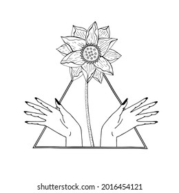 Vintage Mystic hands and lotus flower inside triangle Illustration