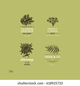 Vintage nature logo collection. Engraved logo set. Vector illustration