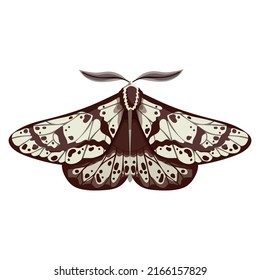 Vintage Night Moth. Cartoon Vector Graphics.