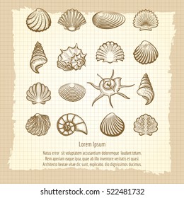 Vintage notebook page with sea shells collection vector