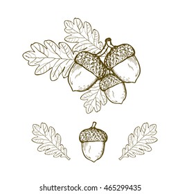 Vintage oak leaf and acorn