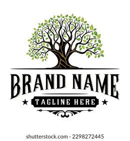 
vintage oak logo design. the concept of a big tree with shady leaves for construction, housing, education and others.