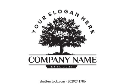 Vintage oak Maple Tree service logo design