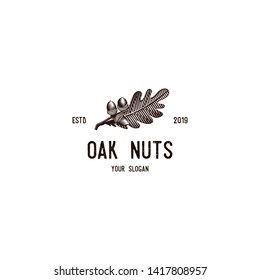 vintage oak nut and leaf logo illustrations