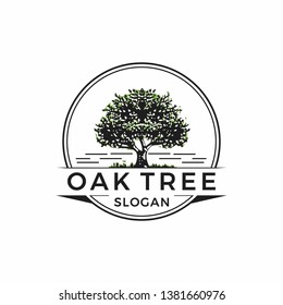 Vintage Oak Tree Logo Design