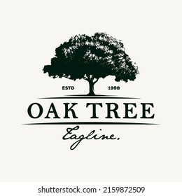 Ilustración de diseño del logotipo de roble de vintage