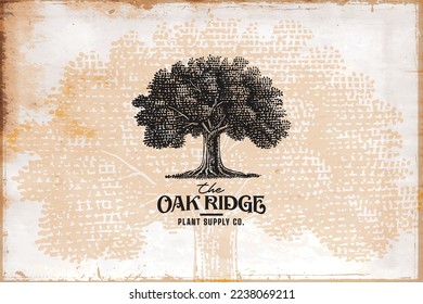 Vintage oak tree logo template	