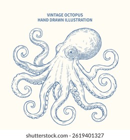 Vintage Octopus Hand Drawn Illustration
