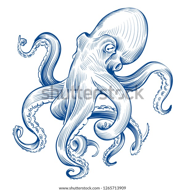 Vintage Octopus Hand Drawn Squid Engraved Stock Vector (royalty Free 