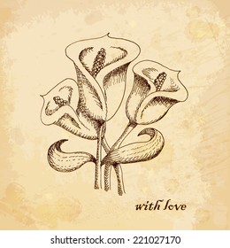 Vintage old background with calla lilies  with love. Hand drawing. vector illustrations