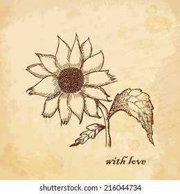 Vintage old background with chamomile with love. Hand drawing. vector illustrations