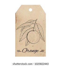 Vintage old paper tag with orange fruit ink sketch, spilled coffee stain, brown beige color, old aged paper, retro labels for special design of packaging, product label, logo, scrapbook, etc.