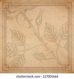 Vintage old paper texture with frame and engraved style rose background, scrapbooking victorian style page, hand drawn vector illustration