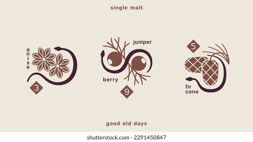 Vintage old style whiskey emblem. Juniper berry, fir cone and anise with a wriggling snake. Contemporary minimal boho style. Vector graphics svg