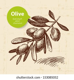 Vintage olive background. Hand drawn illustration