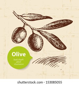 Vintage olive background. Hand drawn illustration