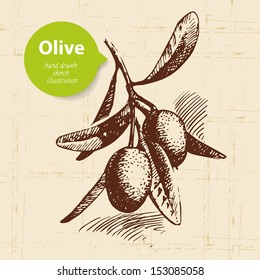 Vintage olive background. Hand drawn illustration	
